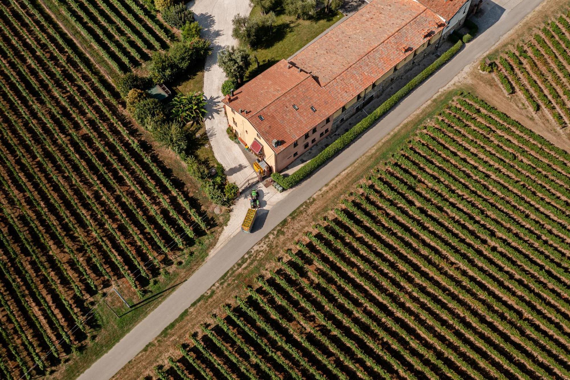 Agriturismo Ripa Del Bosco Capriolo ภายนอก รูปภาพ