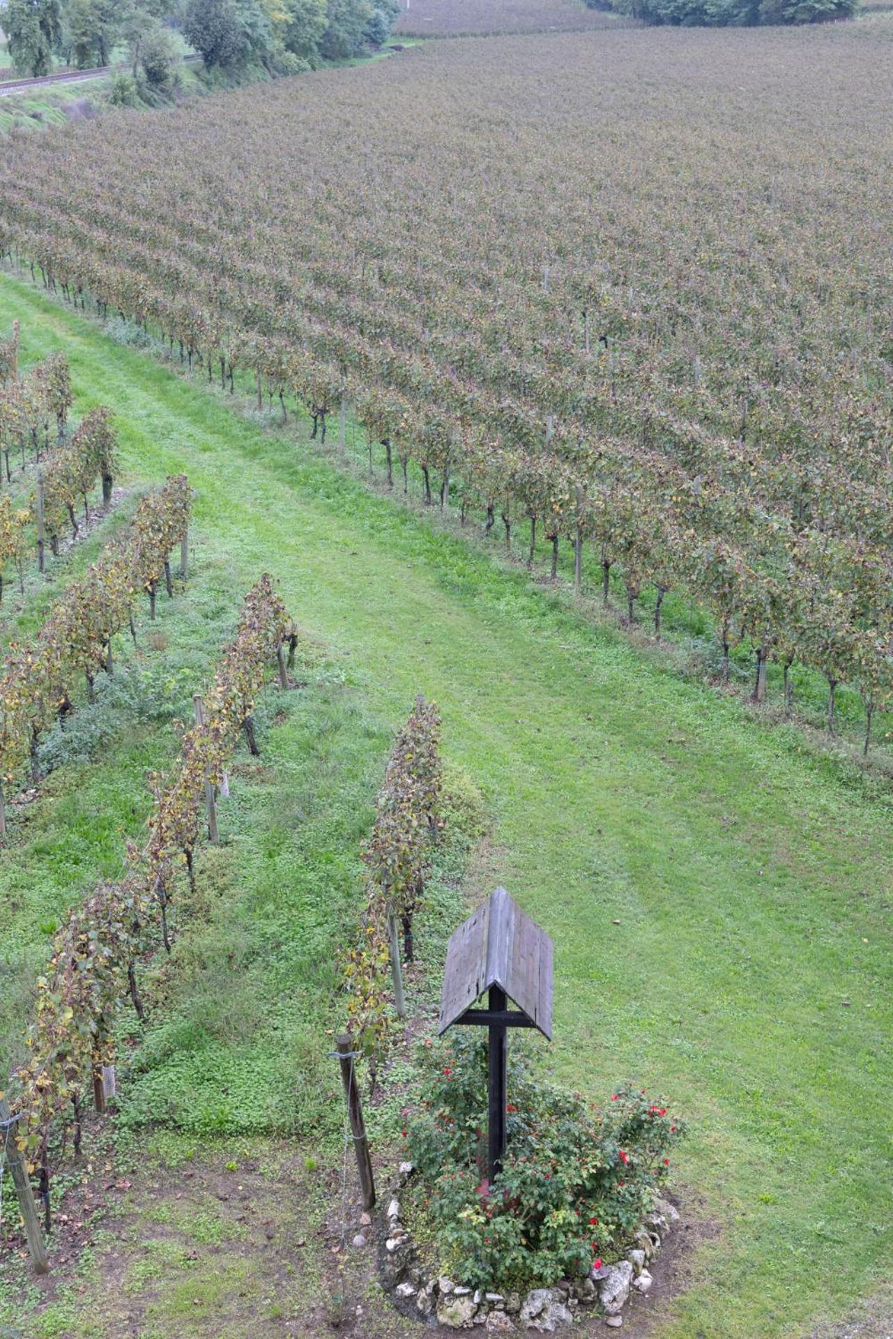 Agriturismo Ripa Del Bosco Capriolo ภายนอก รูปภาพ
